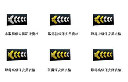 2011式保安服肩章級(jí)別標(biāo)準(zhǔn)圖